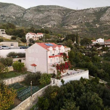 Villa Panorama Dubrovnik Млини Экстерьер фото